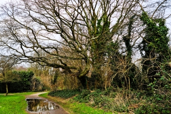 Ideen f�r das Areal �Zeche Fritz� gesucht!